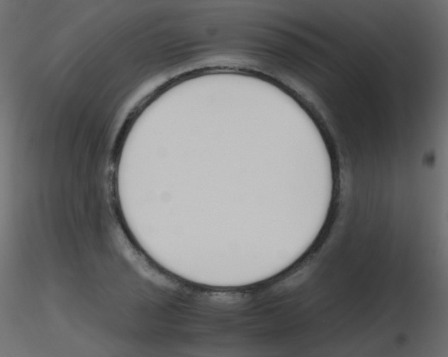 X0000115701029200912241518