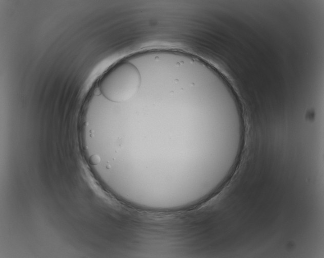 X0000115701030200912241518