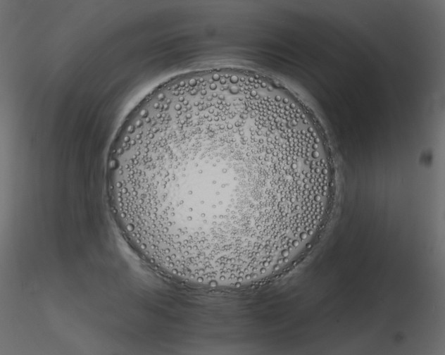 X0000115701031200912241518