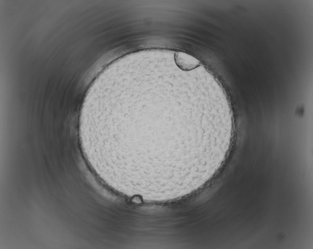 X0000115701033200912241518