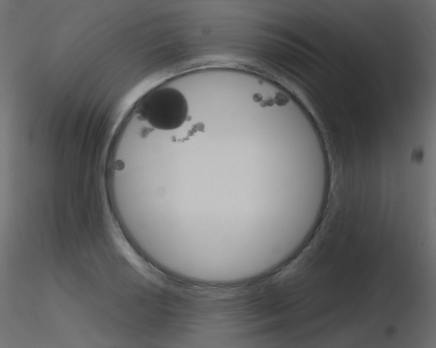 X0000115701034200912241518