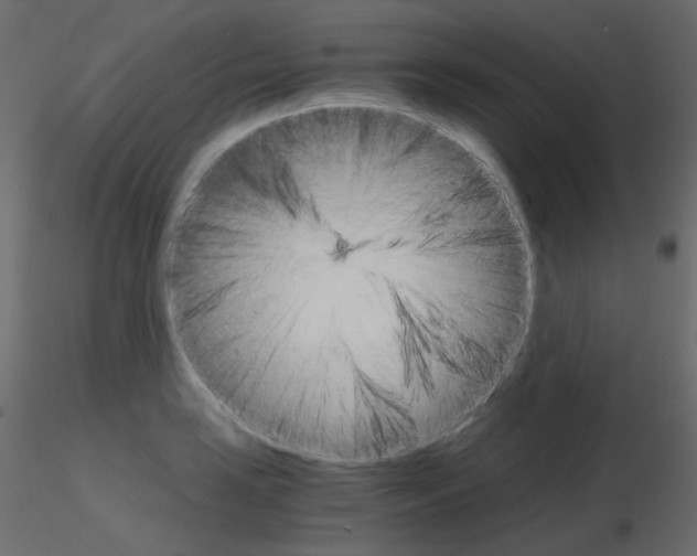 X0000115701035200912241518