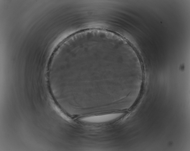 X0000115701037200912241518