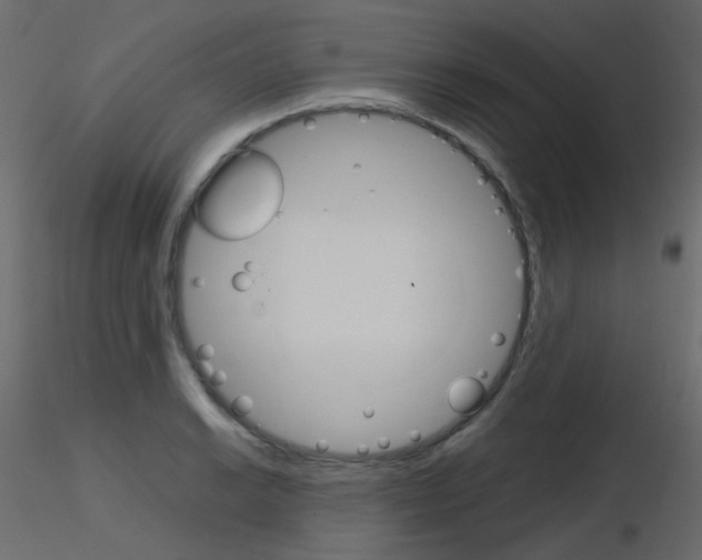 X0000115701038200912241518