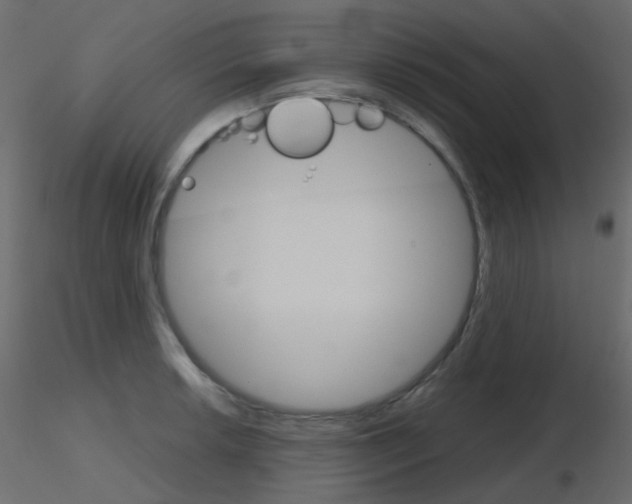 X0000115701042200912241518