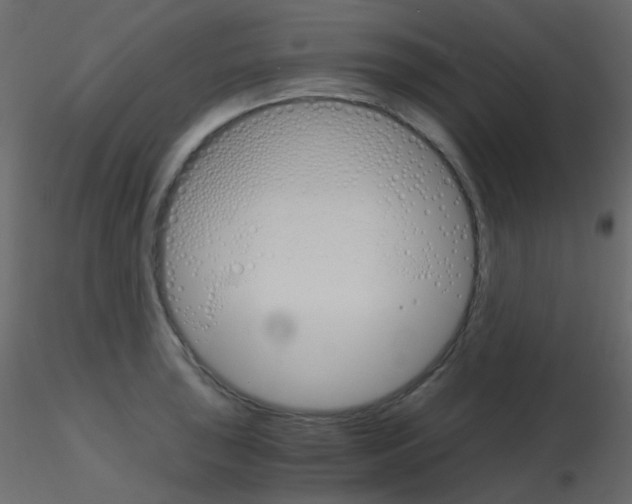 X0000115701043200912241518