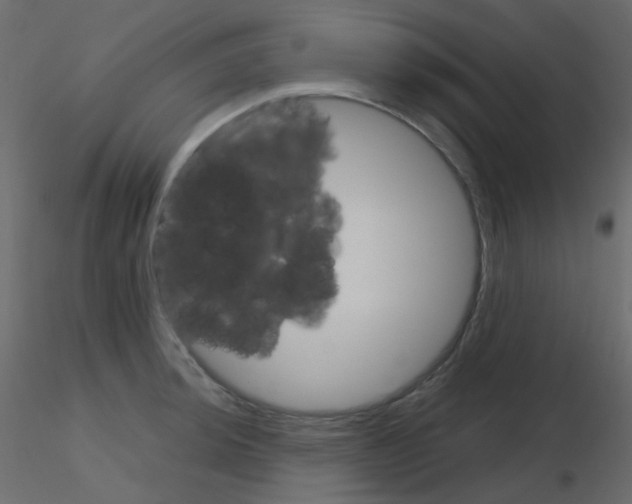 X0000115701044200912241518