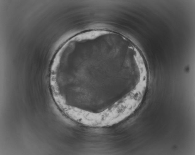 X0000115701045200912241518