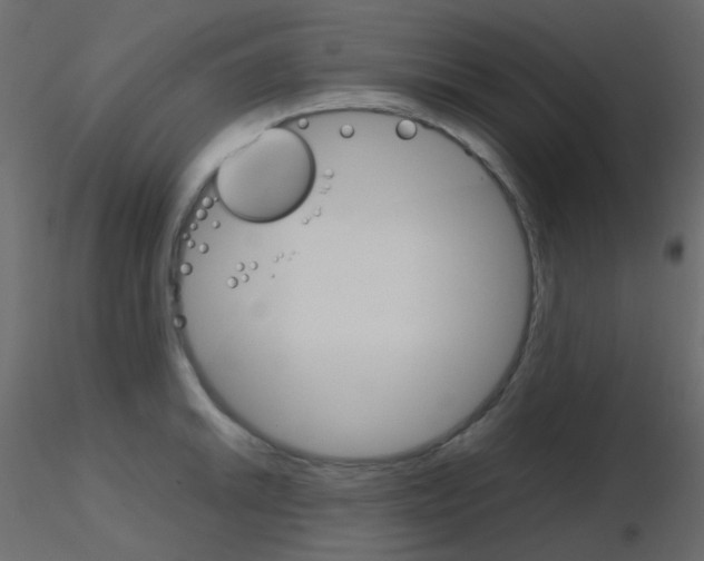 X0000115701046200912241518