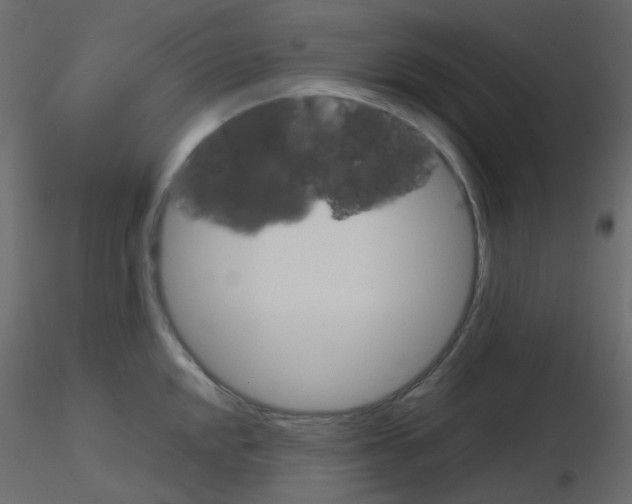 X0000115701048200912241518