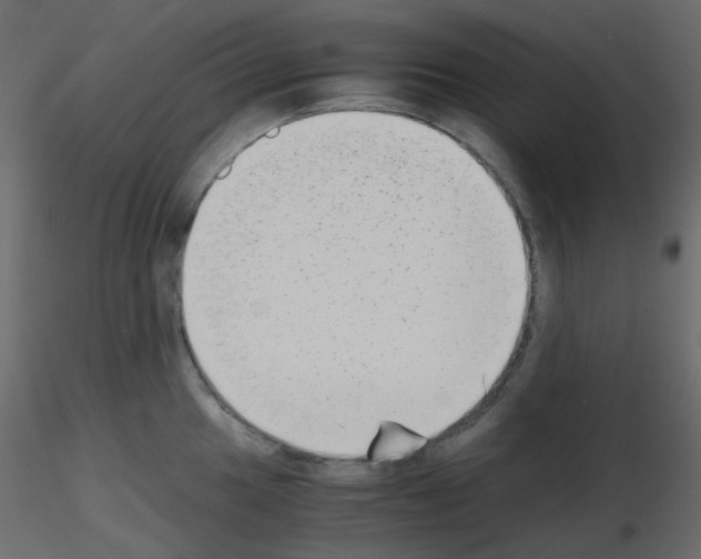 X0000115701049200912241518