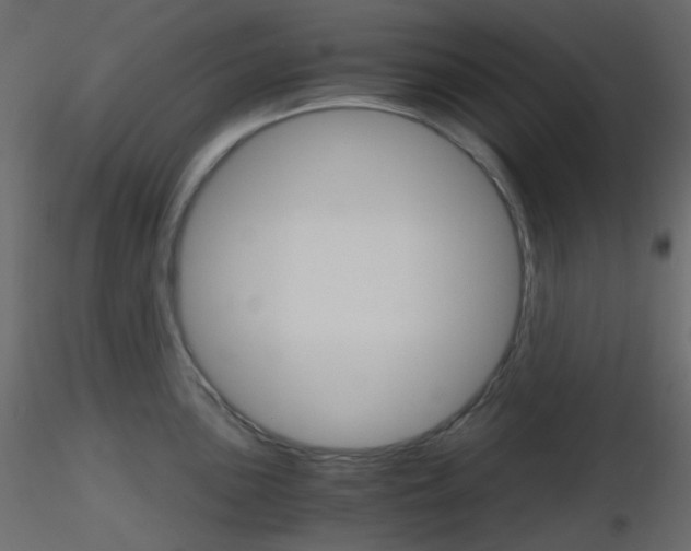 X0000115701051200912241518