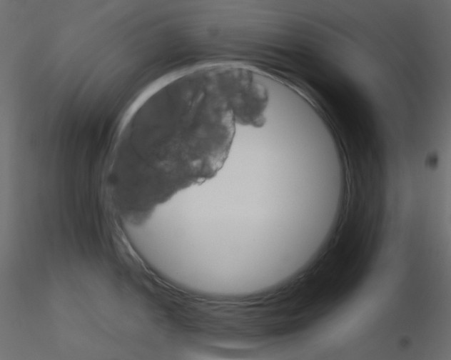 X0000115701052200912241518