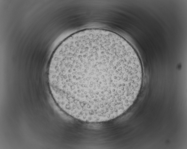 X0000115701053200912241518