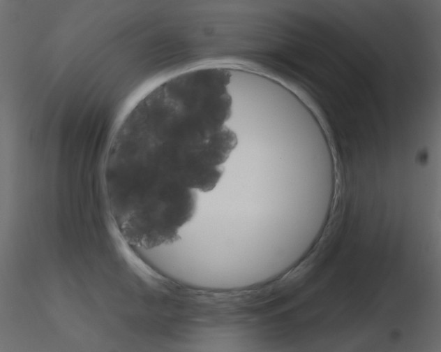 X0000115701054200912241519