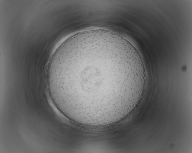 X0000115701055200912241519