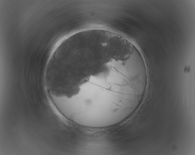 X0000115701056200912241519