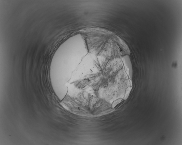 X0000115701059200912241518