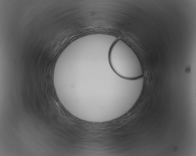 X0000115701060200912241518