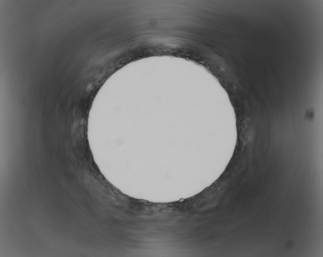 X0000115701061200912241518