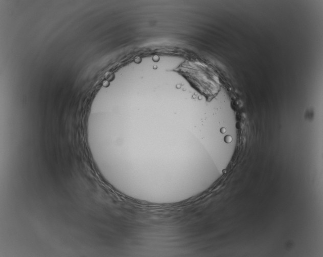 X0000115701062200912241518