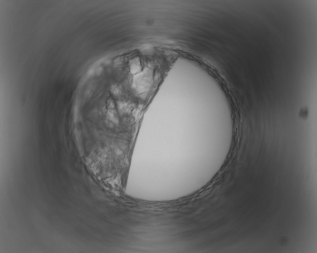 X0000115701063200912241518