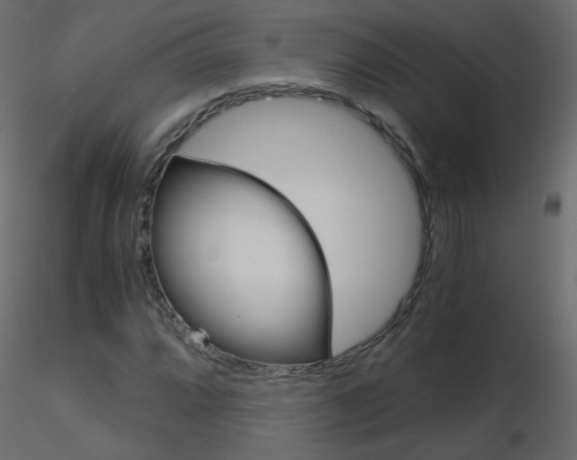 X0000115701064200912241518