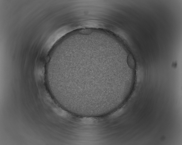 X0000115701065200912241518