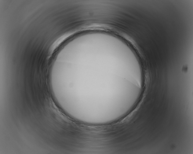 X0000115701066200912241518