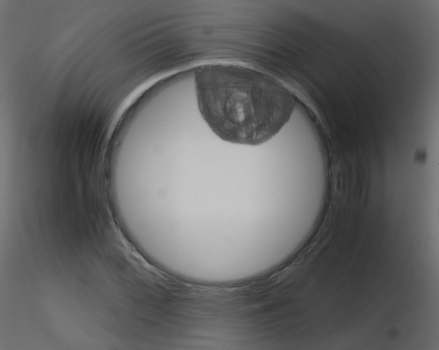 X0000115701068200912241518