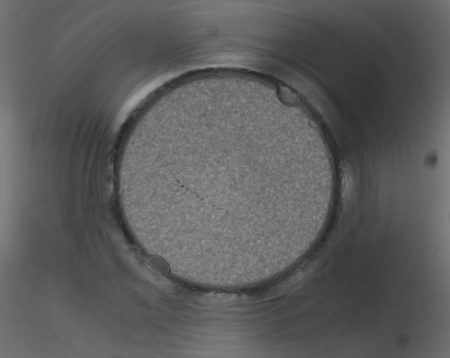 X0000115701069200912241518