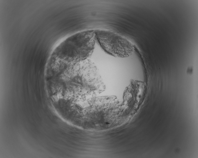 X0000115701071200912241518