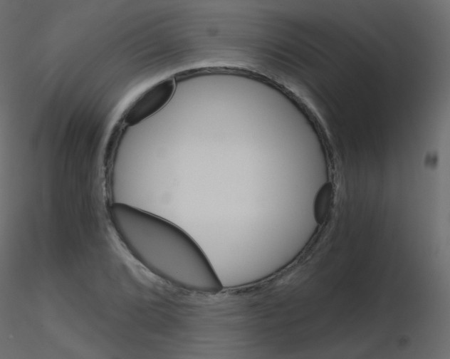 X0000115701072200912241518