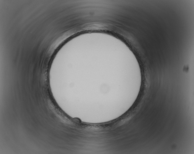 X0000115701073200912241518