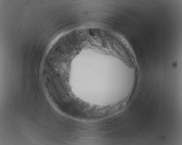 X0000115701075200912241518