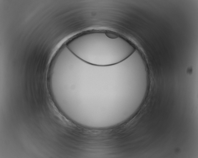 X0000115701076200912241518