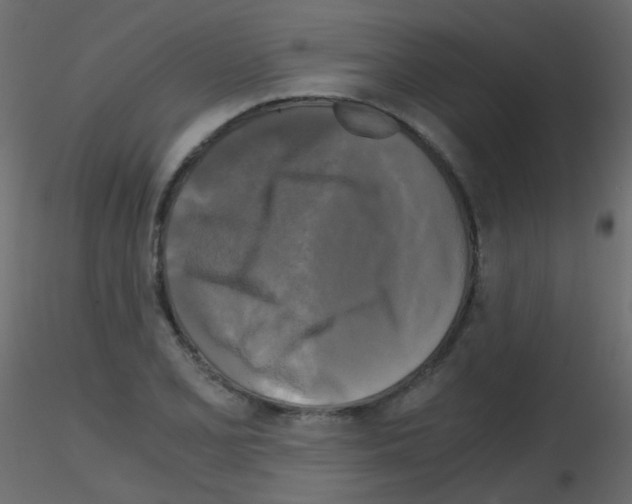 X0000115701077200912241518