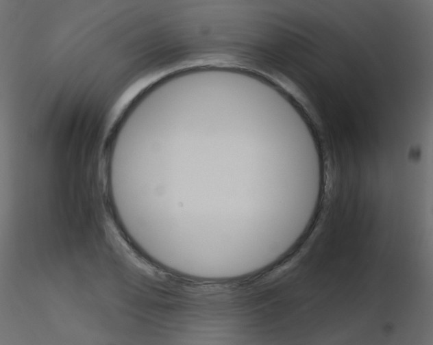 X0000115701078200912241518