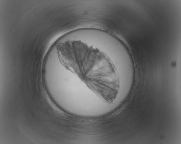 X0000115701079200912241518