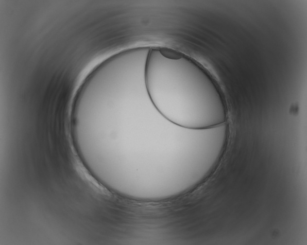 X0000115701080200912241518