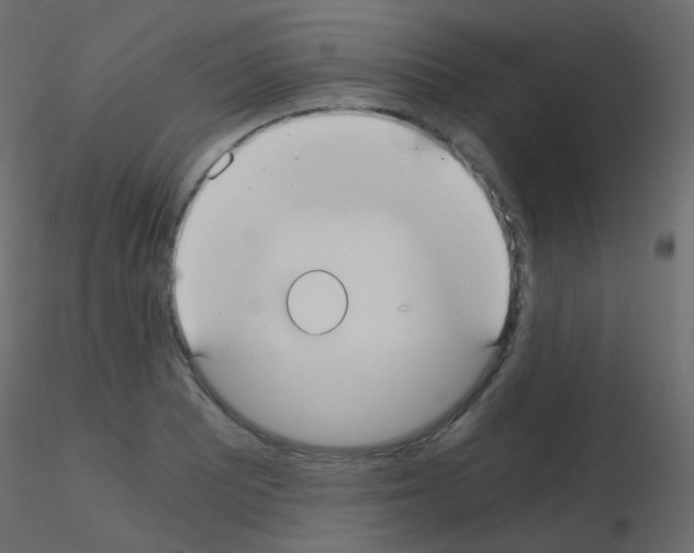 X0000115701081200912241518