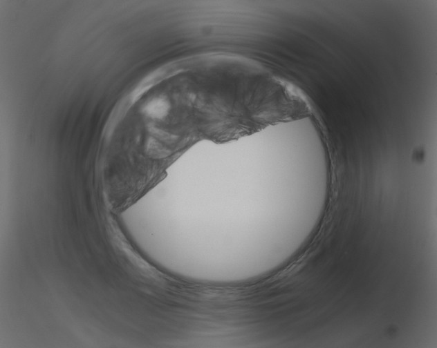 X0000115701083200912241518