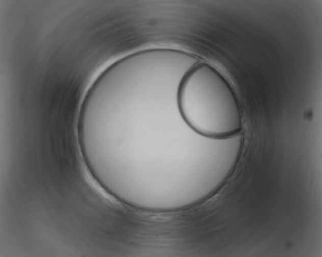 X0000115701084200912241518