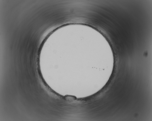 X0000115701085200912241518