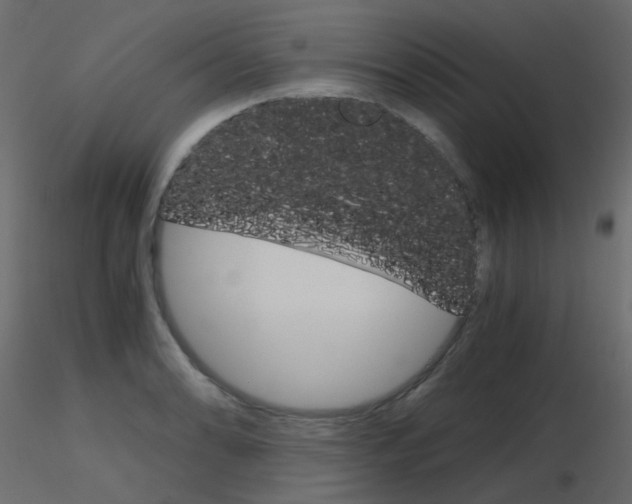 X0000115701086200912241517