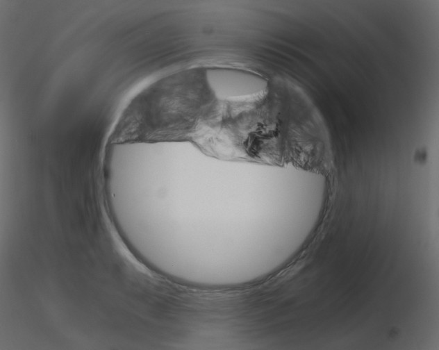 X0000115701087200912241517