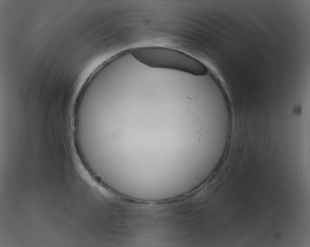 X0000115701088200912241517