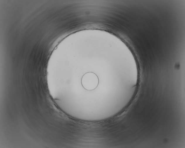 X0000115701089200912241517