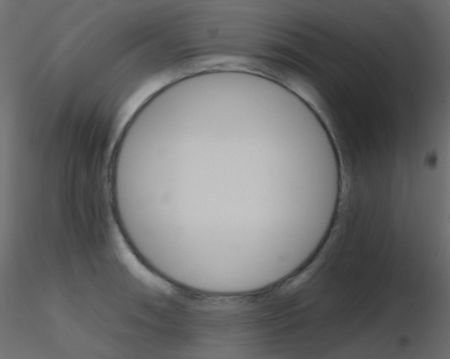 X0000115701090200912241517