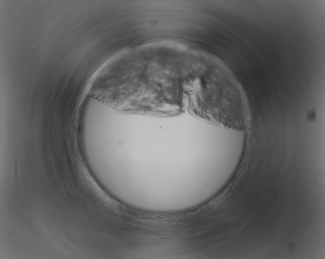 X0000115701091200912241517